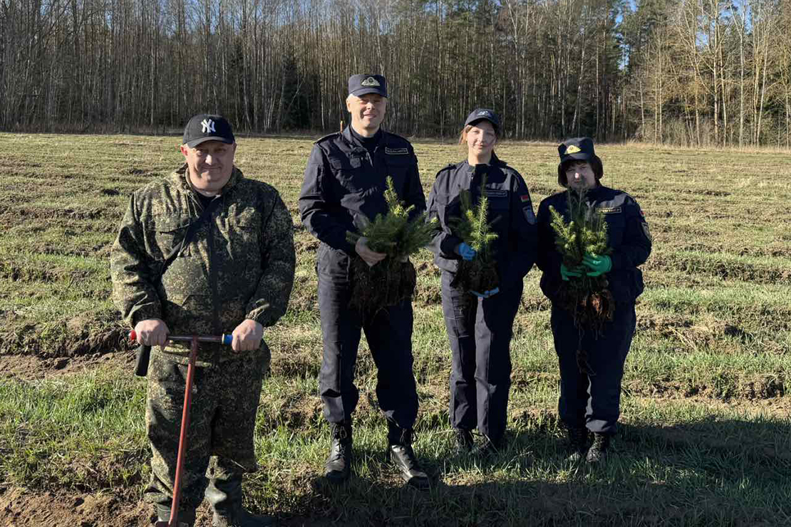 Следователи Поставского РОСК присоединились к акции "Дай лесу новае жыццё!"