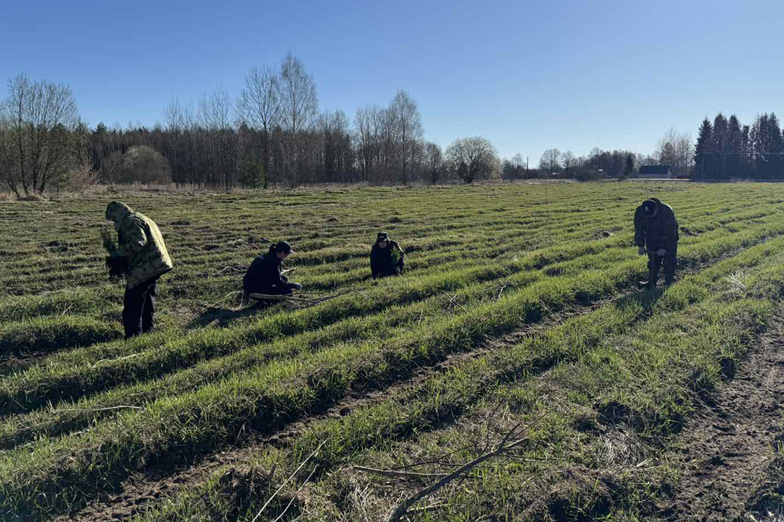 Следователи Поставского РОСК присоединились к акции "Дай лесу новае жыццё!"