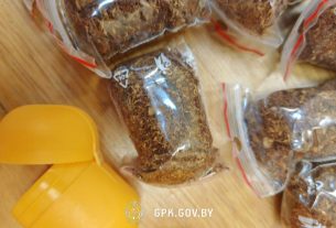 Сморгонские пограничники задержали литовца с особо опасными психотропами