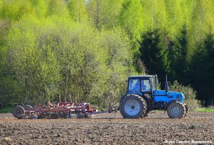 Сев ранних яровых зерновых и зернобобовых, рапса завершили практически все хозяйства района. На очереди — кукуруза