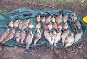 Нелегальная рыбалка привела двух рыбаков к уголовной ответственности