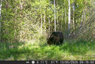 В Поставском районе проходит мероприятие по профилактике преступлений в отношении престарелых граждан