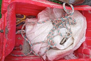 Мужчина из Поставского района убил собаку и стал фигурантом уголовного дела