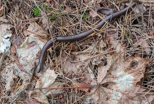 С 1 июля по 30 сентября пройдет областная благотворительная акция «В школу — вместе!»