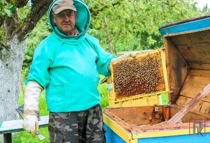 Хлеборобы Поставского района переключились на уборку озимого рапса