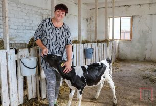 К обязанностям — с душой, к подопечным — с лаской работает оператора по уходу за телятами Гражина Пажис