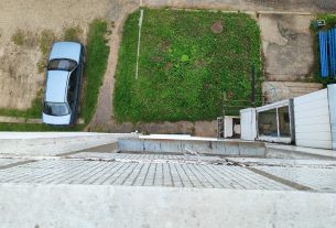 В Поставах женщина выбросила кота из окна пятого этажа: возбуждено уголовное дело