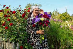 Более ста учащихся Поставского государственного колледжа помогают ОАО "Новосёлки-Лучай" на уборке картофеля