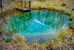 Андрей Мурзич и его дочь Александра вместе работают в лесном хозяйстве