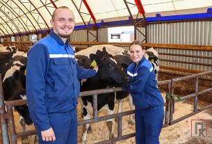 Кирилл и Алеся Ульские в этом году по распределению приехали работать на Поставский молочный завод