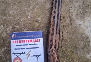 50-м видом в ассортименте продукции Поставского молочного завода стал творог в тубах