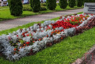 Подарок и доброе напутствие получила Яна Янченко от сенатора Сергея Мелешкина