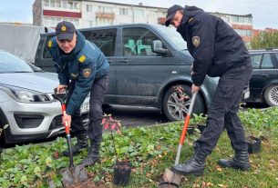 9 октября аг. Камаи вновь стал местом проведения республиканской акции «Молодёжь — за безопасность»