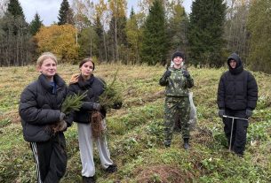 Милиционеры и воспитанники ВПК «Щит и Меч» посадили около 1500 молодых елей