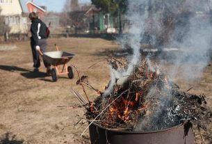 Можно ли сжигать мусор на дачном участке, рассказали в МЧС