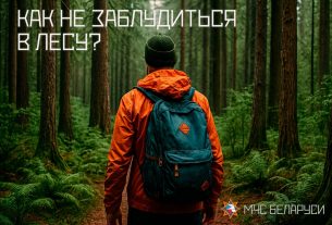 Как не потеряться в лесу и что делать, если уже заблудились, напомнили в МЧС