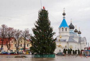 В Поставы прибыла главная героиня предстоящих торжеств — новогодняя ёлка