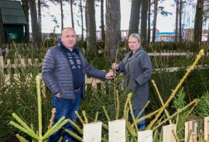 20 декабря в Поставском районе начали работать "Ёлочные базары"