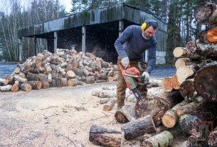 Где и почём: как купить дрова и брикет по госцене в Поставском районе