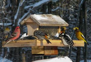 «Точки роста» и задачи на завтра: глава райисполкома Сергей Чепик рассказал о развитии Поставщины в 2025 году