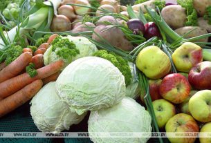 Сколько овощей заложено в стабфонды страны и по каким ценам их продают, рассказали в МАРТ