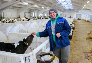 «Сытому всегда теплее»: как на фермах в Курополье спасают телят от рекордных морозов