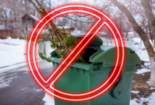 На страже заботы и милосердия: в Поставском районе чествовали работников соцзащиты