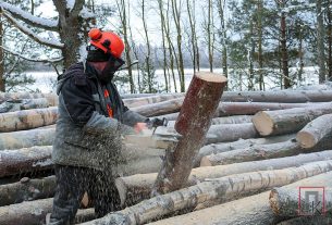 «Сытому всегда теплее»: как на фермах в Курополье спасают телят от рекордных морозов