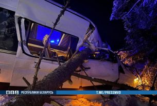 Маршрутка «Минск-Поставы» врезалась в лежащее на дороге дерево. Следователи работают на месте происшествия