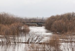 Большая вода: чем весенний паводок опасен для Беларуси