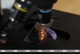 Стоит ли белорусам бояться вируса Нипах, разъяснили эпидемиологи