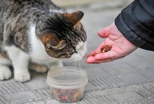 Машинно-тракторный парк ОАО «Камайский-агро» пополнили два новых «Беларуса-3522»