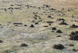 Фоторепортаж: Праздничное мероприятие, посвященное Дню работников ЖКХ