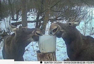 Машинно-тракторный парк ОАО «Камайский-агро» пополнили два новых «Беларуса-3522»