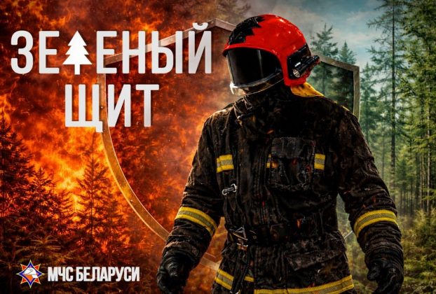 С 18 мая по 22 мая на Поставщине пройдет специальное профилактическое мероприятие «Зеленый щит» С 18 мая по 22 мая на Поставщине пройдет специальное профилактическое мероприятие «Зеленый щит»