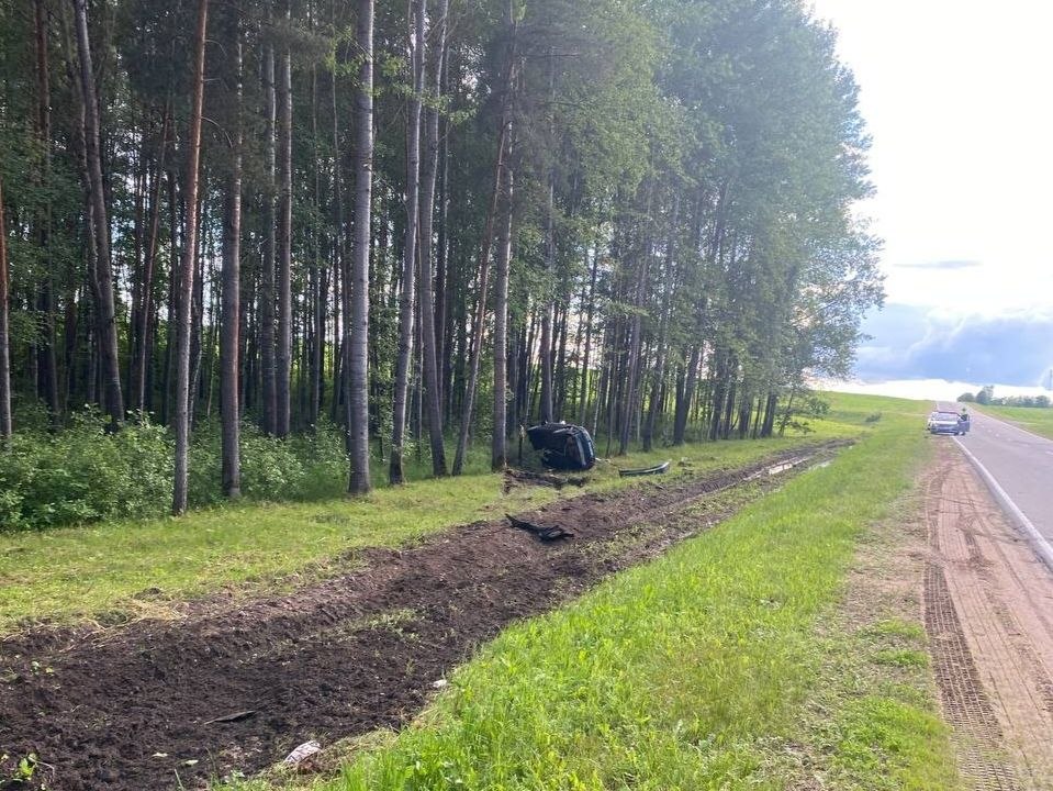 В Поставском районе произошло серьезное ДТП с диким животным