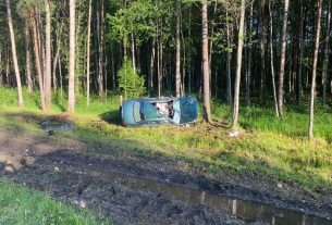 В Поставском районе произошло серьезное ДТП с диким животным