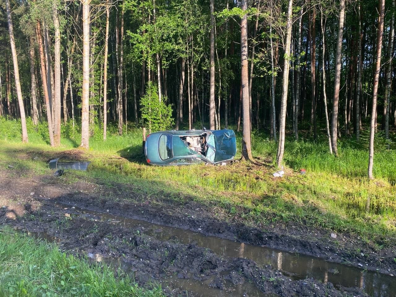 В Поставском районе произошло серьезное ДТП с диким животным