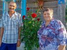 На контроле госконтроля. Готовность сельхозорганизаций к уборке урожая 2026 года недостаточная На контроле госконтроля. Готовность сельхозорганизаций к уборке урожая 2026 года недостаточная