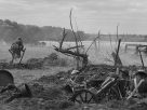 Кровавая охота на людей. Как фашисты уничтожали Поставщину в 1941—1944 годах?